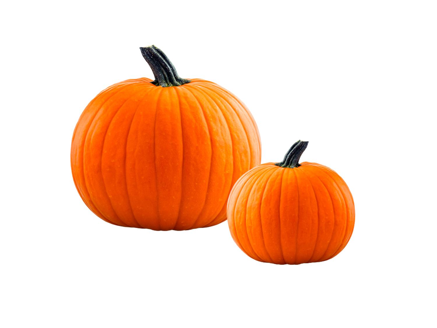 Halloween bundeva