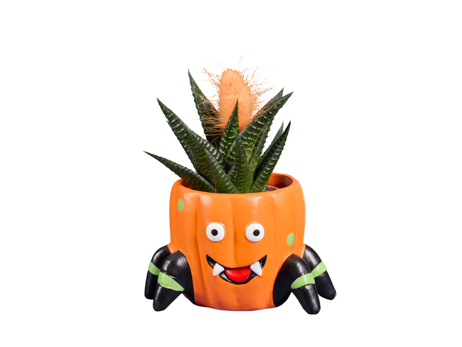 Spooky kaktus