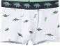 Bele dečije bokserice sa zelenim dezenom dinosaurusa i elastičnim pojasom.