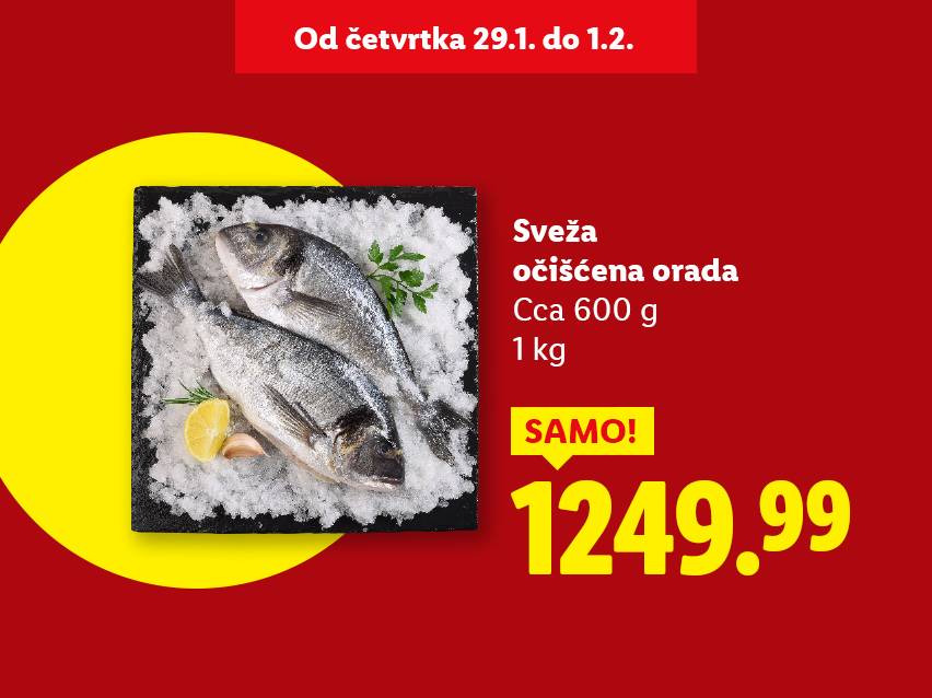 Sveža očišćena orada na ledu, cena 1249.99 za 1 kg, ponuda od 29.1. do 1.2.