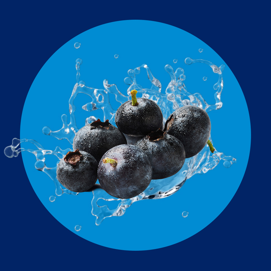 Sveže borovnice sa kapljicama vode na plavoj pozadini.