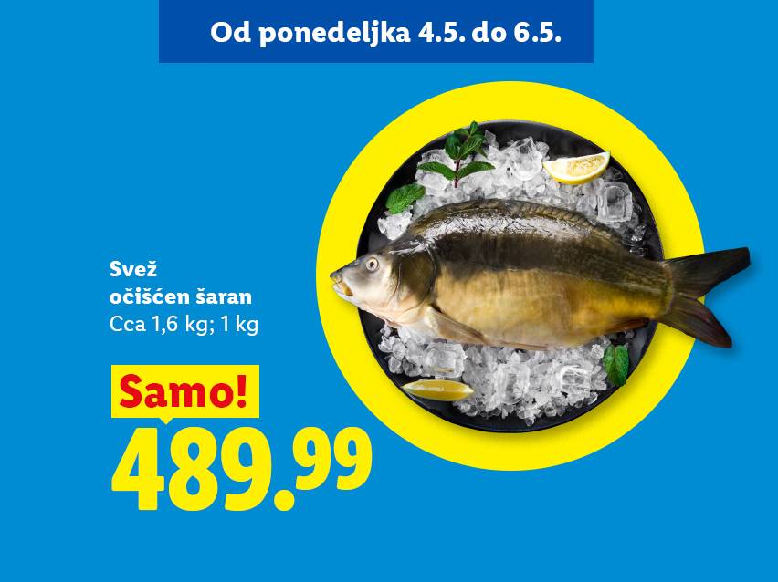 Svež očišćen šaran na ledu sa limunom i mentom, cena 489.99, akcija od 4.5. do 6.5.