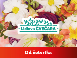 Lidlova cvećara