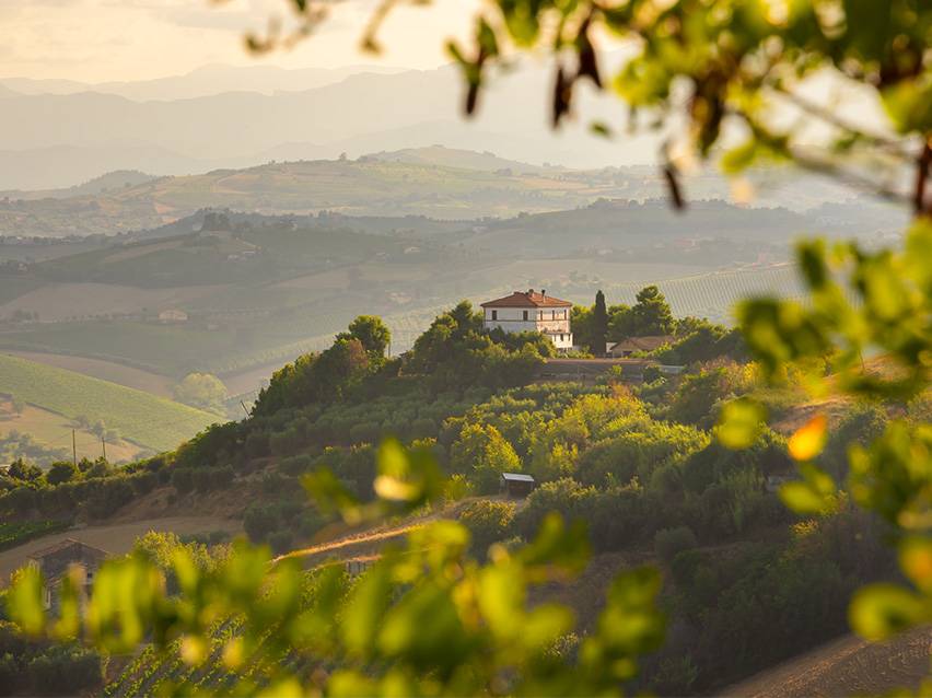 Kuća na brdu okružena vinogradima i valovitim brdima pod maglovitim nebom.