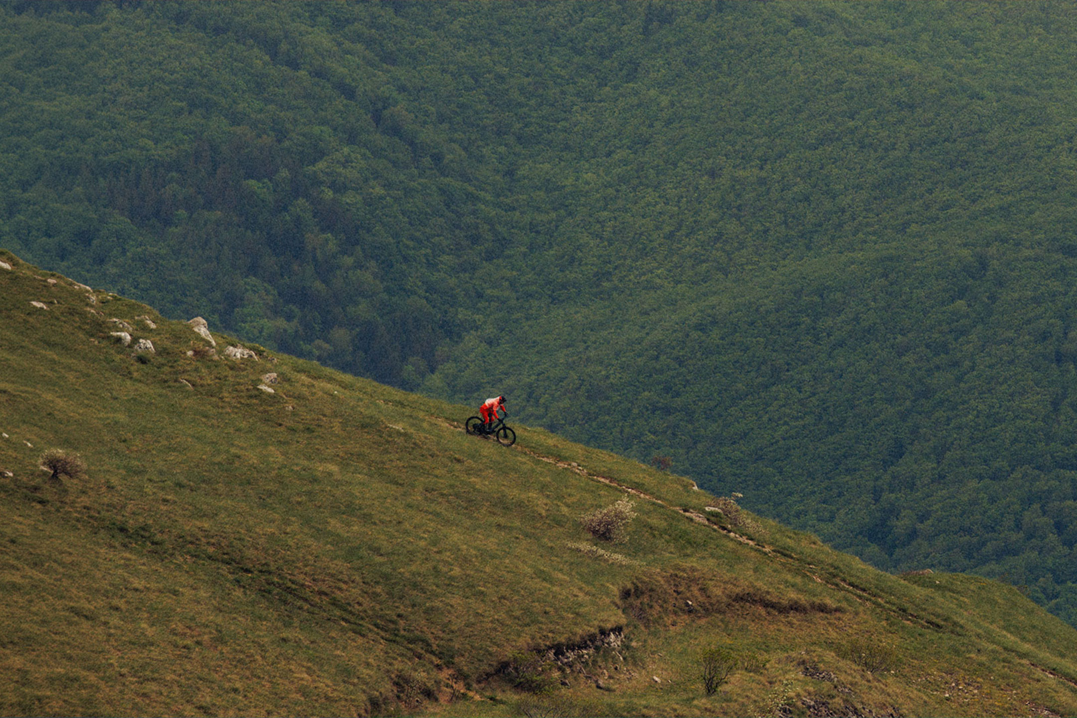 aiLabeling.aiLabelForImageAltText: Biciklista se spušta niz planinsku stazu sa gustom šumom u pozadini.