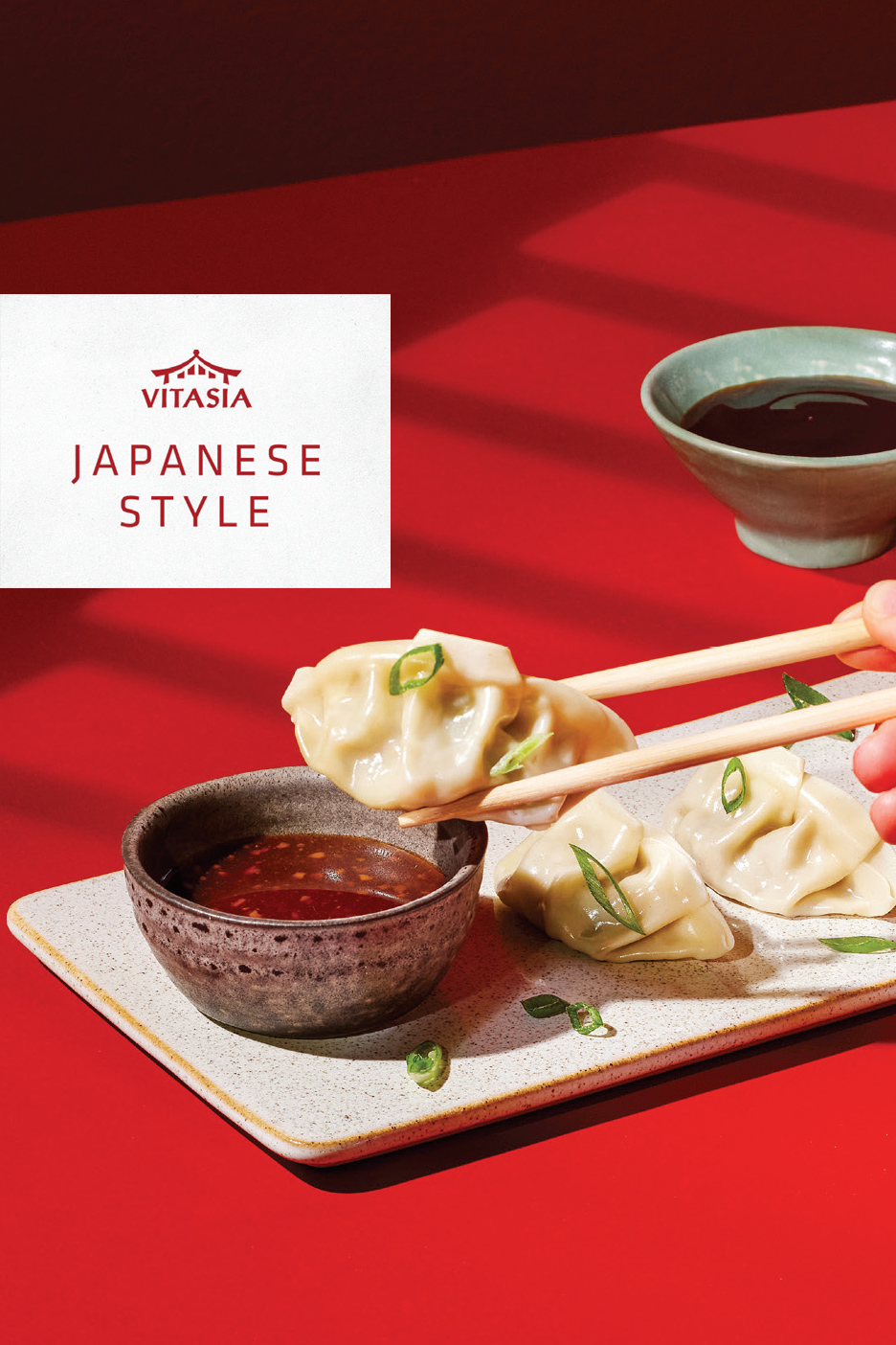 Japanske knedle sa sosom, štapićima i natpisom 'JAPANESE STYLE'.