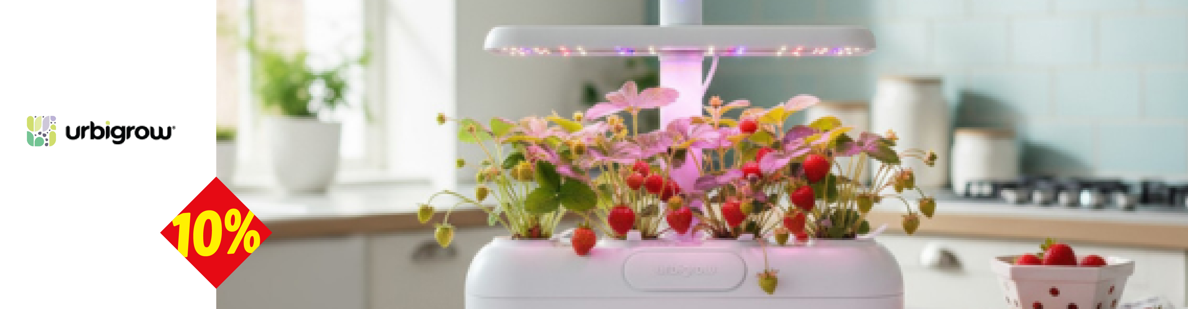 Unutrašnja bašta sa jagodama i 10% popusta u kuhinji.