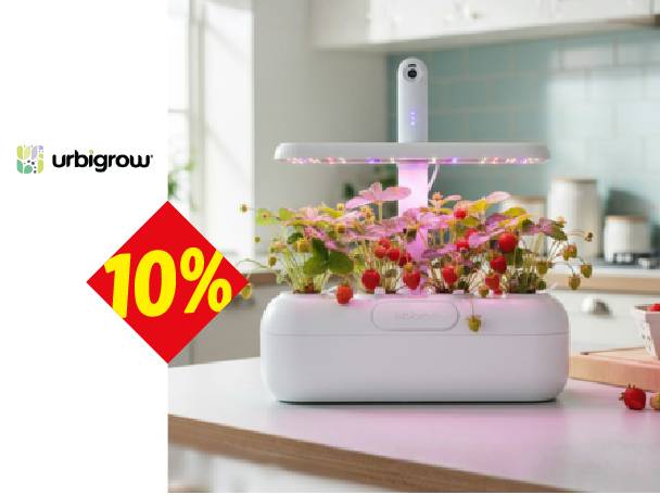 Pametna bašta sa jagodama na kuhinjskom pultu, sa popustom od 10%.