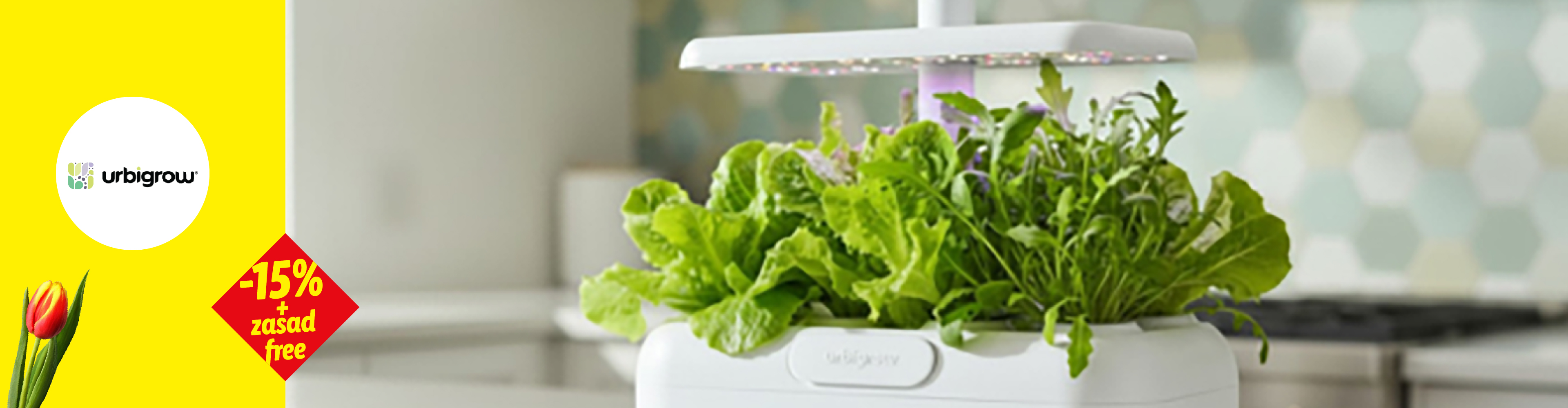 Pametna bašta sa zelenom salatom i rukolom, sa popustom od 15% i besplatnim sadnicama.