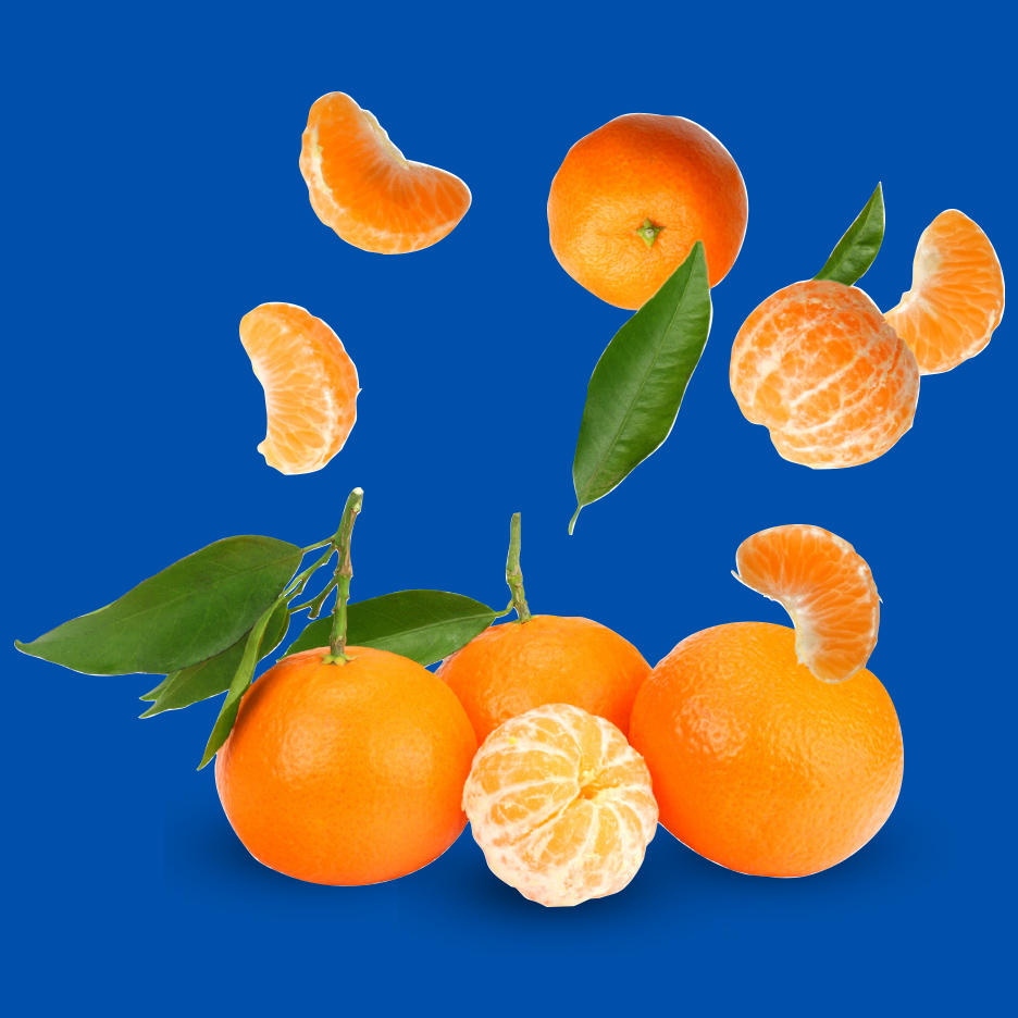Mandarine i kriške mandarina sa listovima na plavoj pozadini.