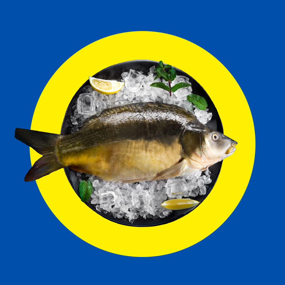 Svež šaran na ledu sa kriškama limuna i nanom, na crnom tanjiru sa žutim krugom.