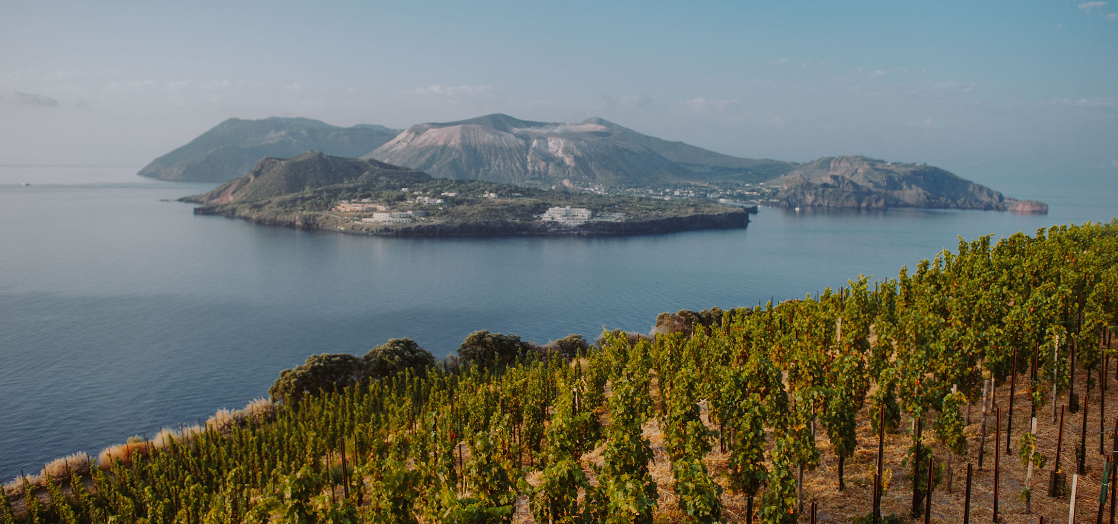 Terasa vinograd sa pogledom na vulkansko ostrvo i more.