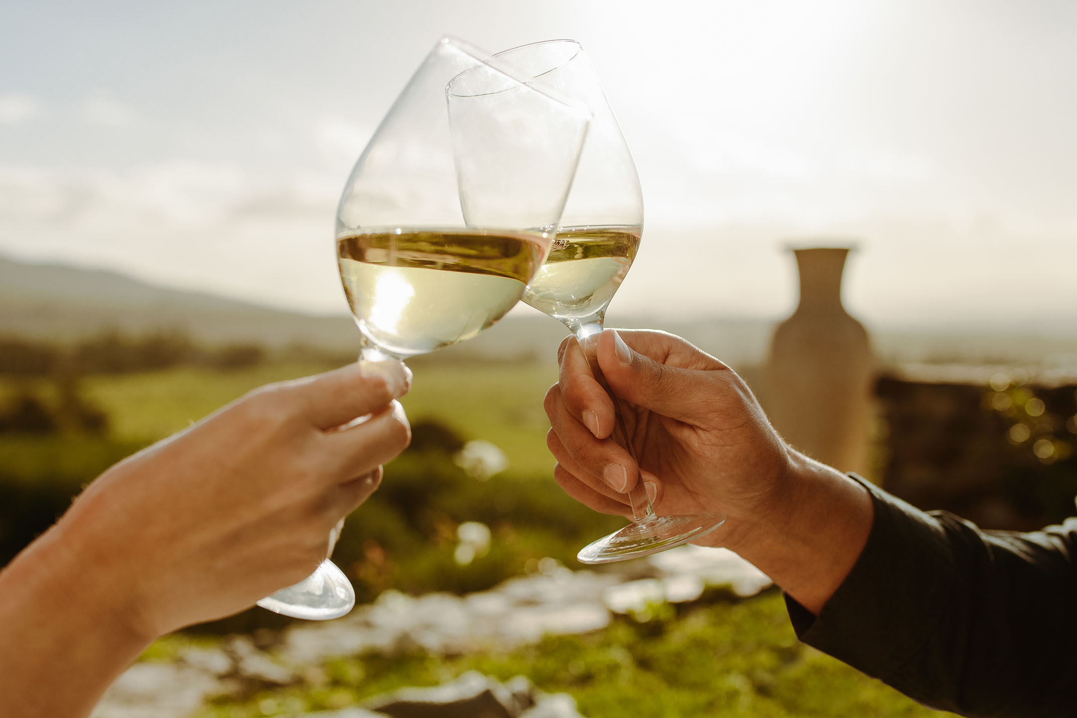 Dve ruke nazdravljaju čašama belog vina u sunčanom, ruralnom okruženju.