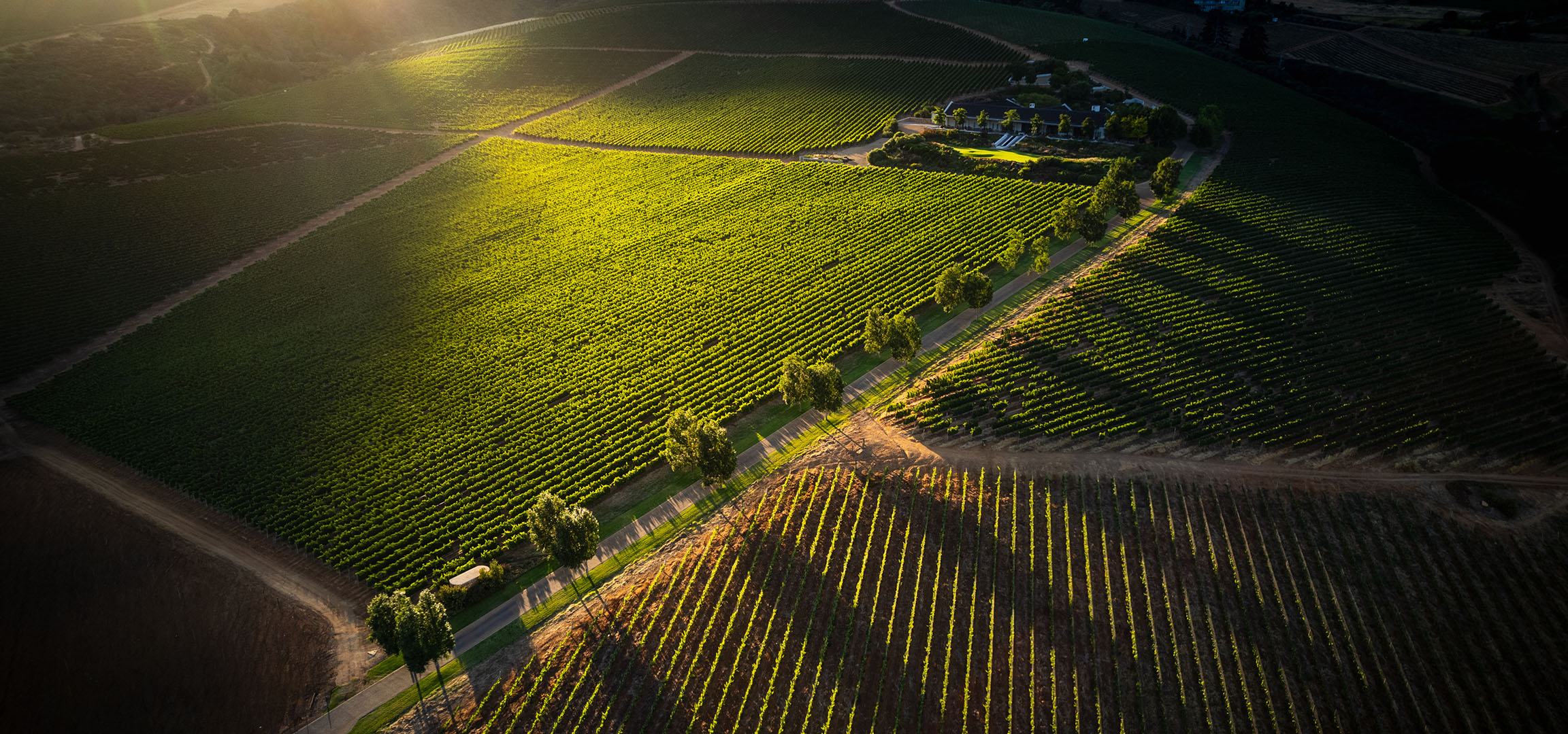 Pogled iz vazduha na osunčani vinograd sa kućom u sredini.