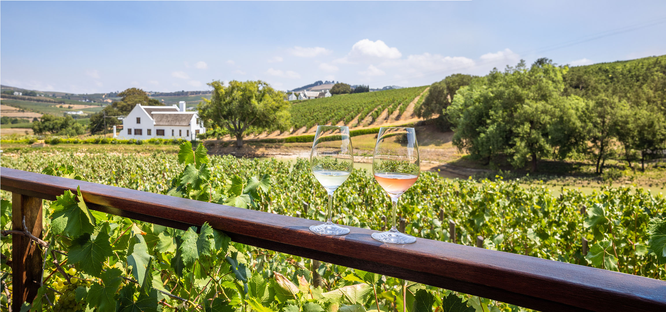 Dve čaše vina, belog i roze, sa vinogradom i belom kućom u pozadini.