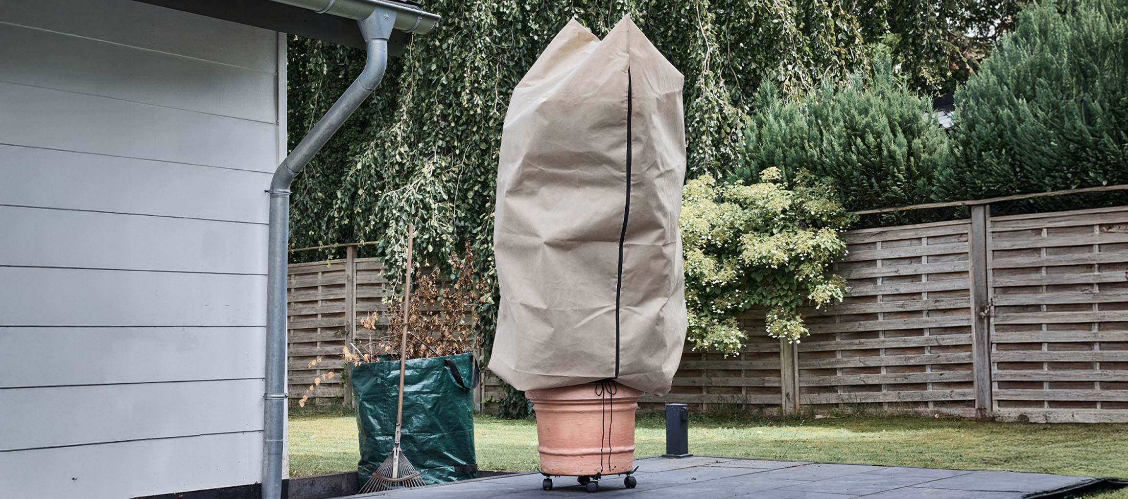 Biljka u saksiji sa zimskom zaštitnom navlakom na terasi pored kuće.