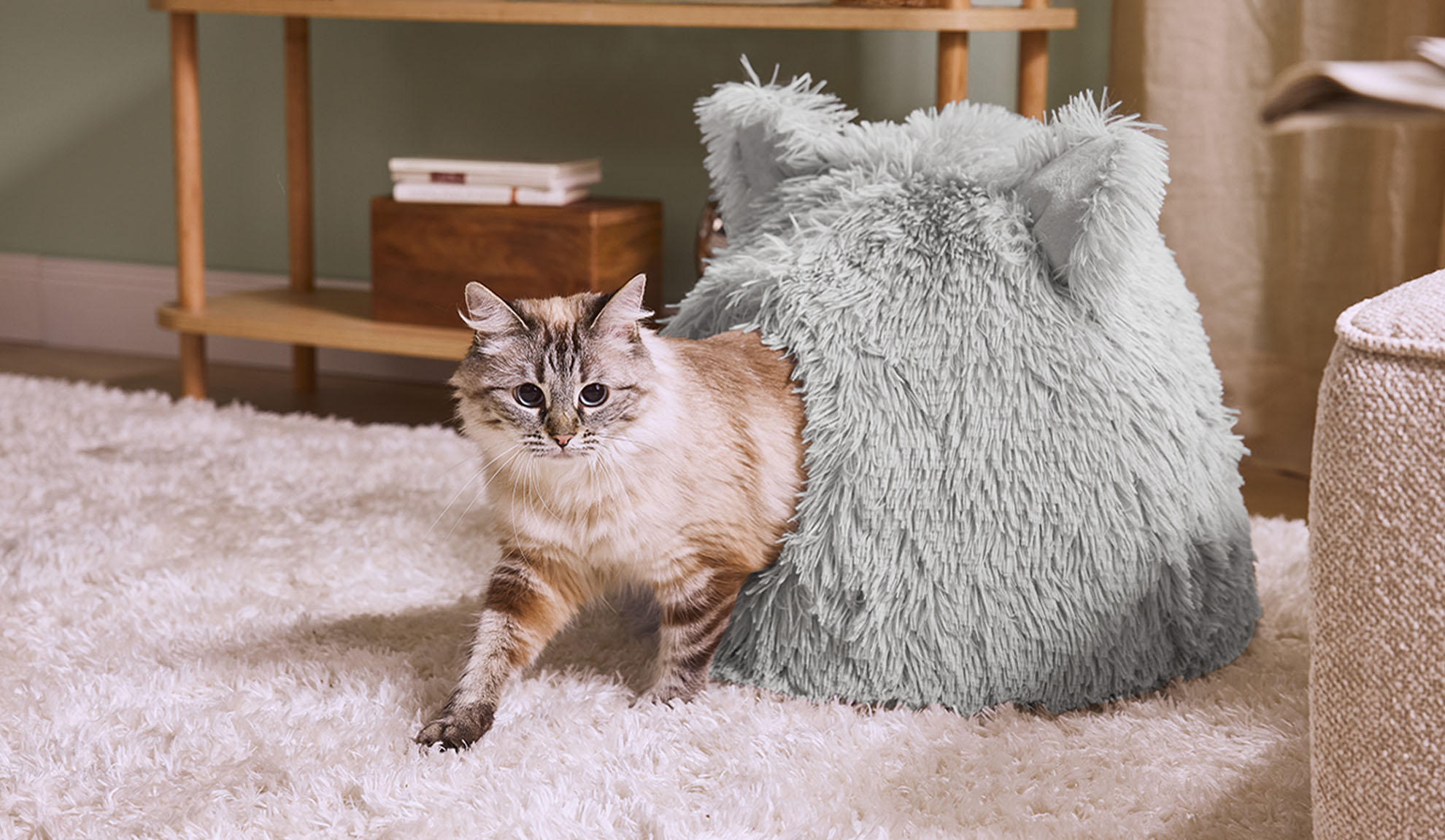 Mačka izlazi iz sivog pufnastog kreveta na belom tepihu.