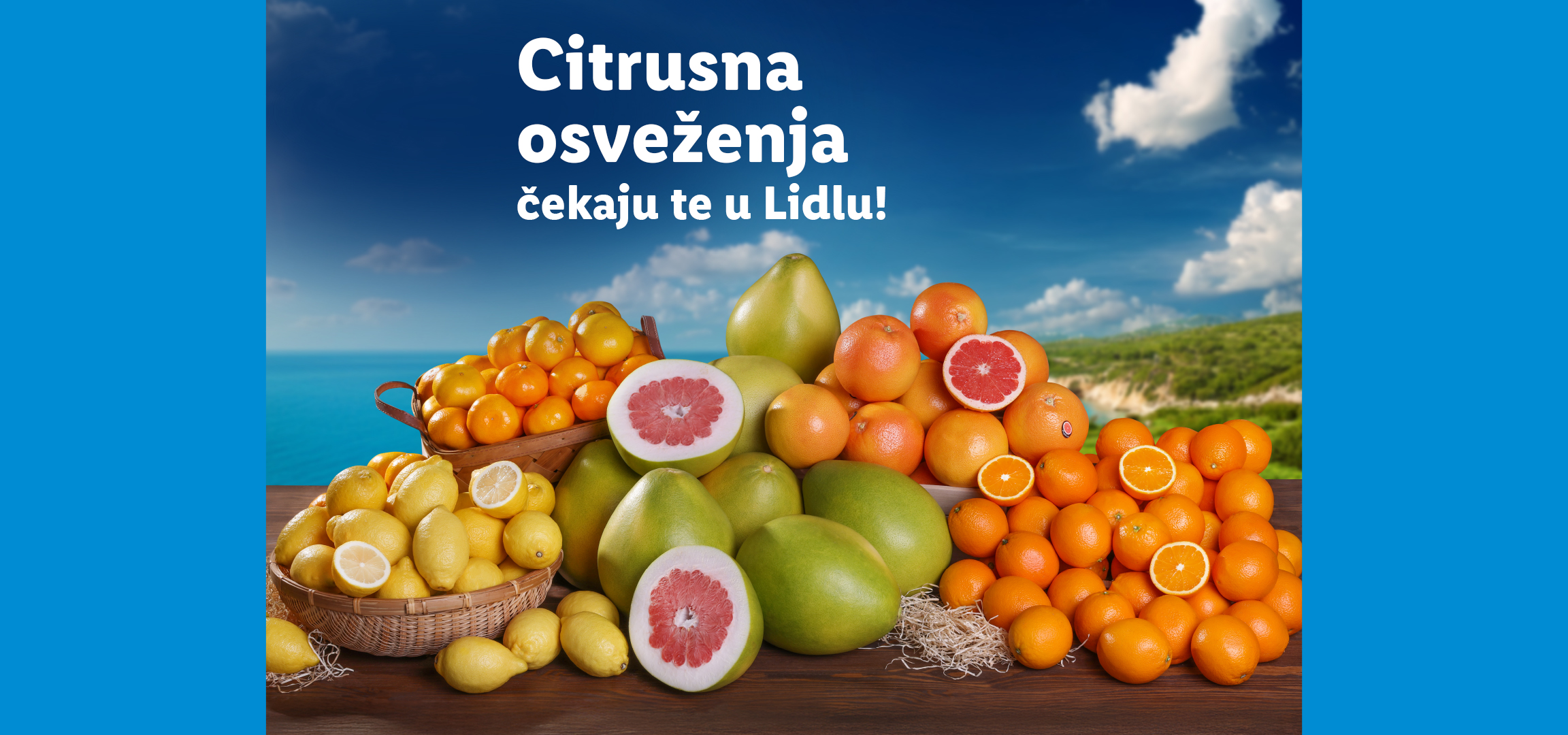 Citrusna osveženja čekaju te u Lidlu! Prikaz raznog citrusnog voća poput pomela, grejpfruta, mandarina, limuna i narandži.