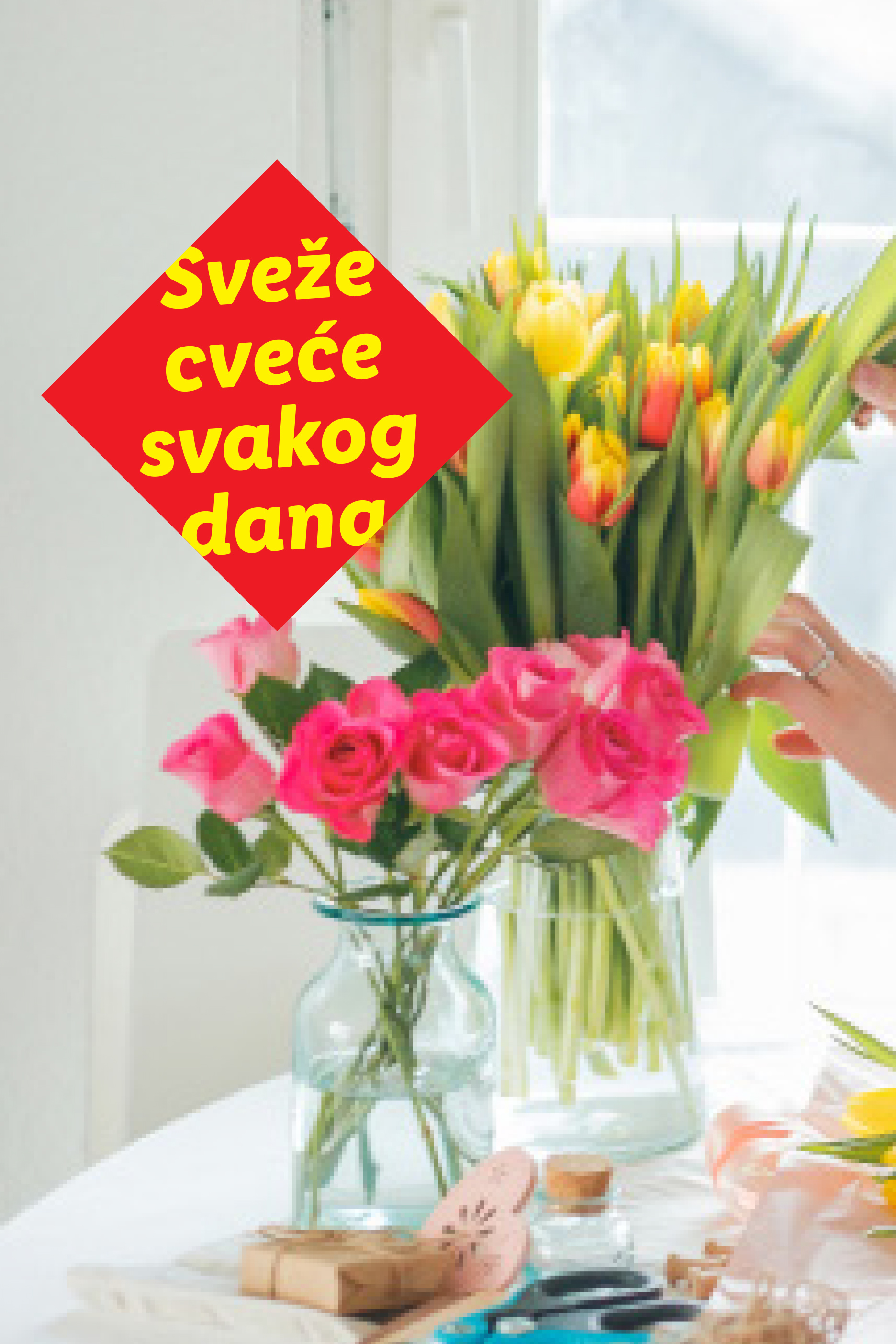 Crveni natpis „Sveže cveće svakog dana“ preko buketa ružičastih ruža i žutih lala.
