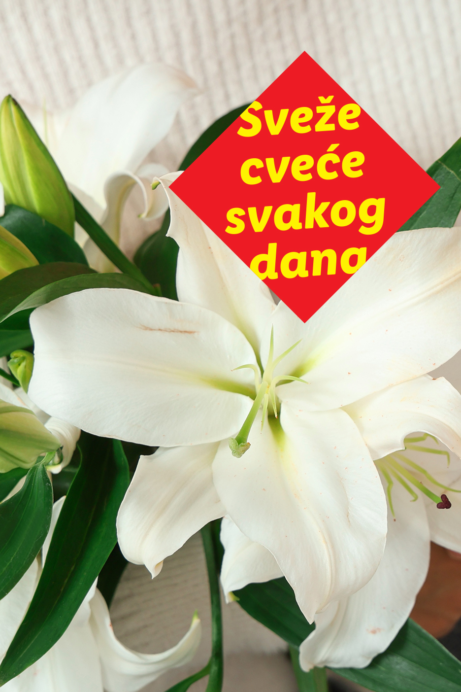 Beli ljiljani sa natpisom „Sveže cveće svakog dana“.