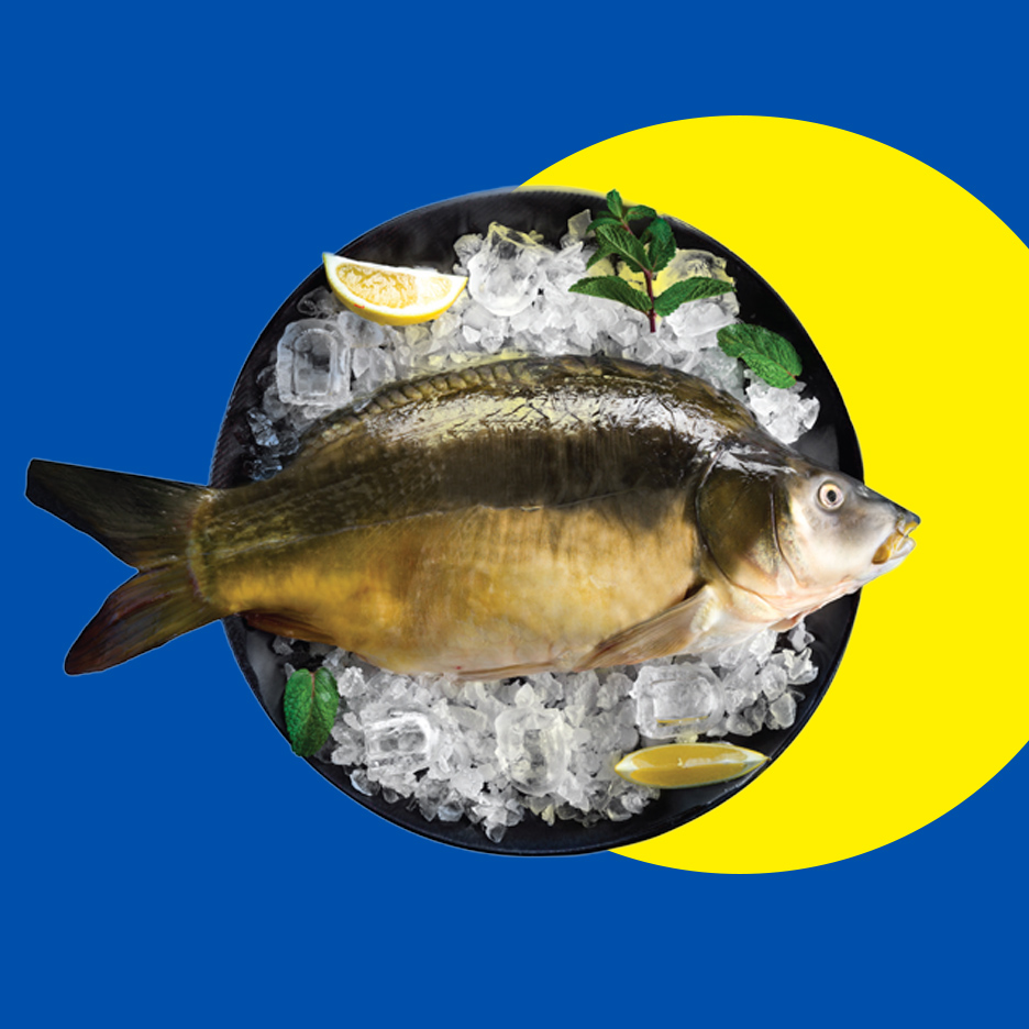 Svež šaran na ledu sa kriškama limuna i listovima mente na crnom tanjiru.