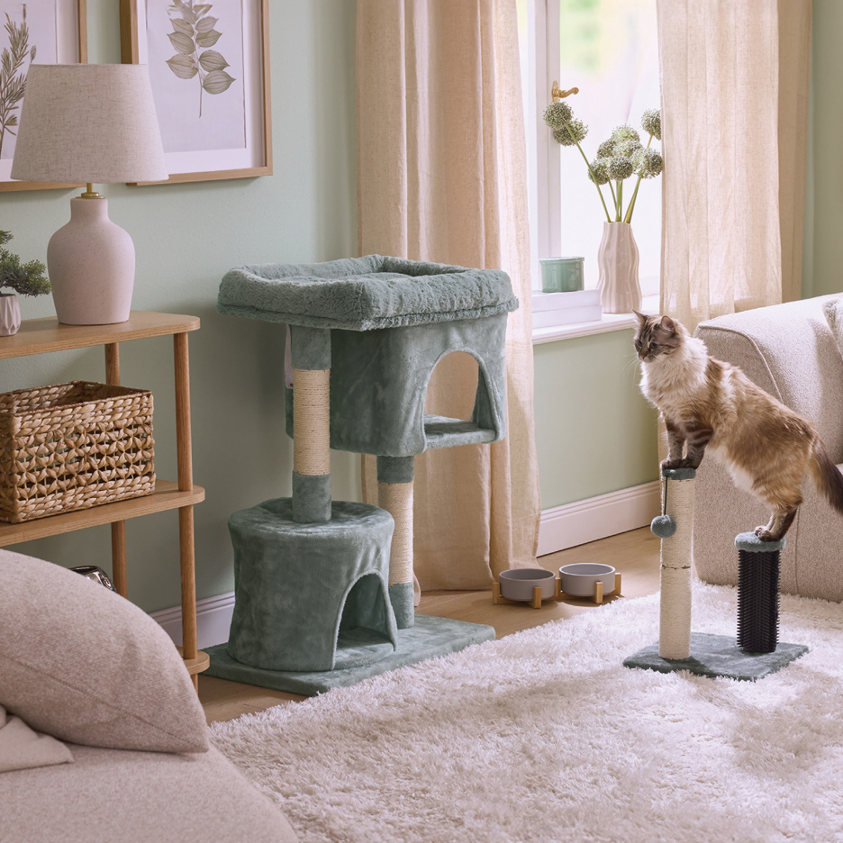 Mačka na grebalici i penjalici za mačke u dnevnoj sobi