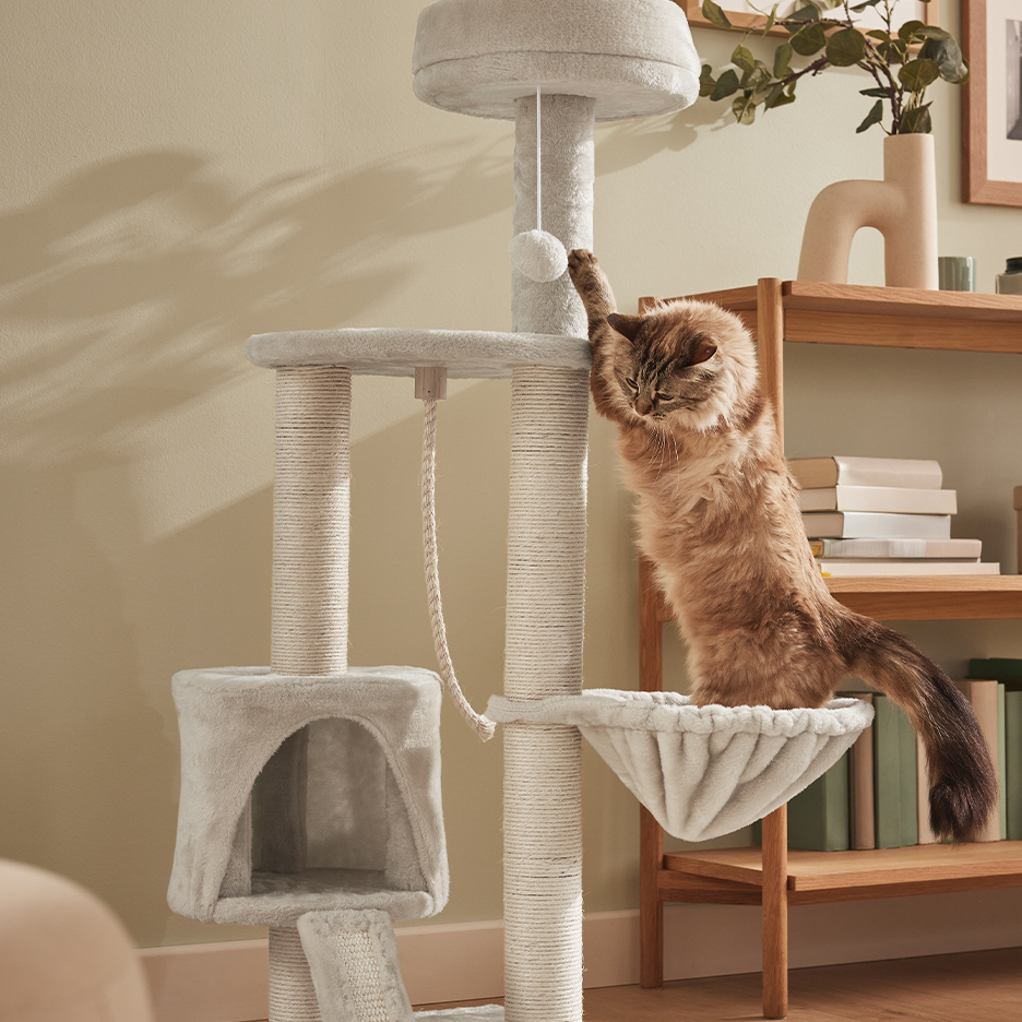Mačka se igra na grebalici sa kućicom i visećom ležaljkom.
