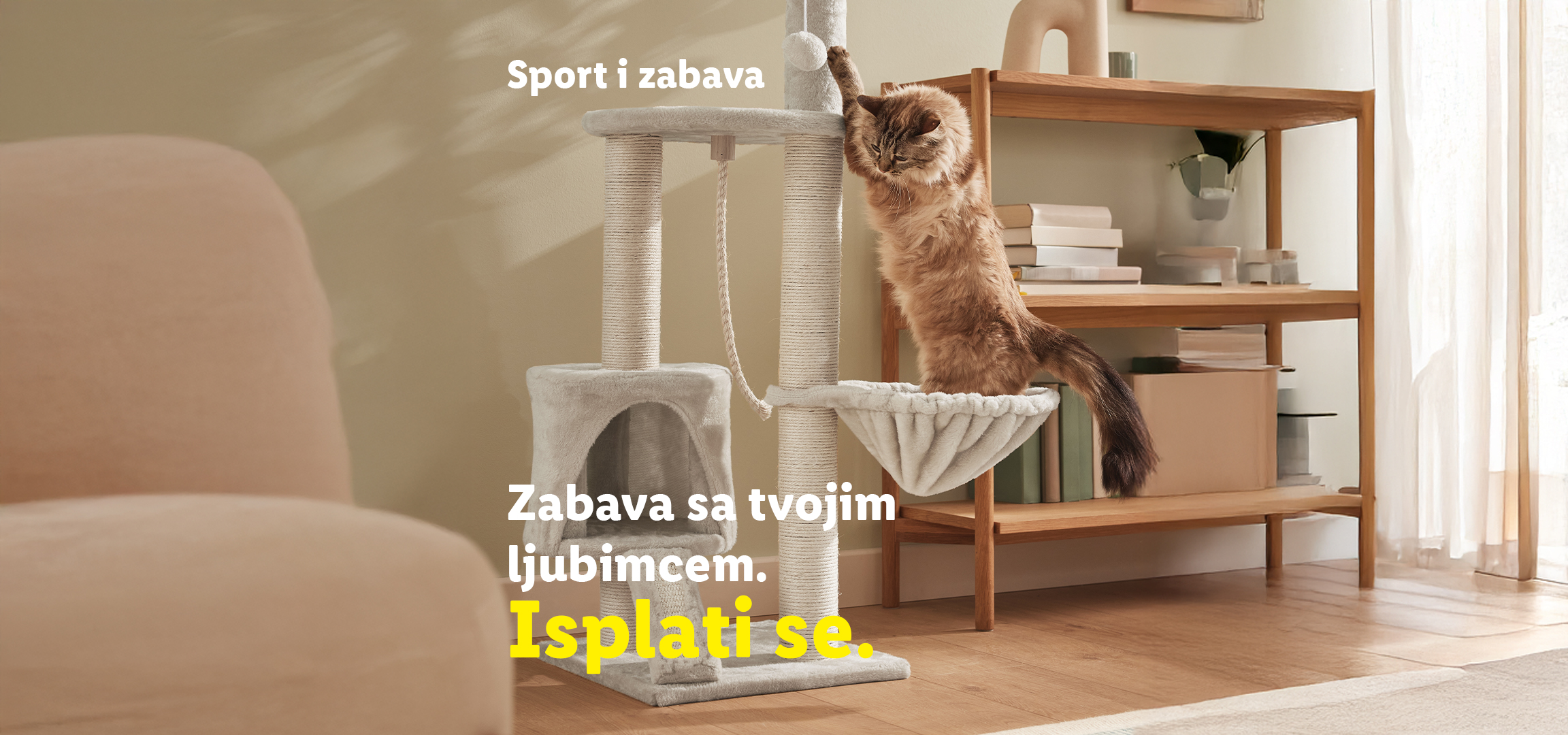 Osoba šiša psa, druga osoba mazi psa, mačka se igra na grebalici. Tekst: Sport i slobodno vreme. Zabava sa tvojim ljubimcem. Isplati se.