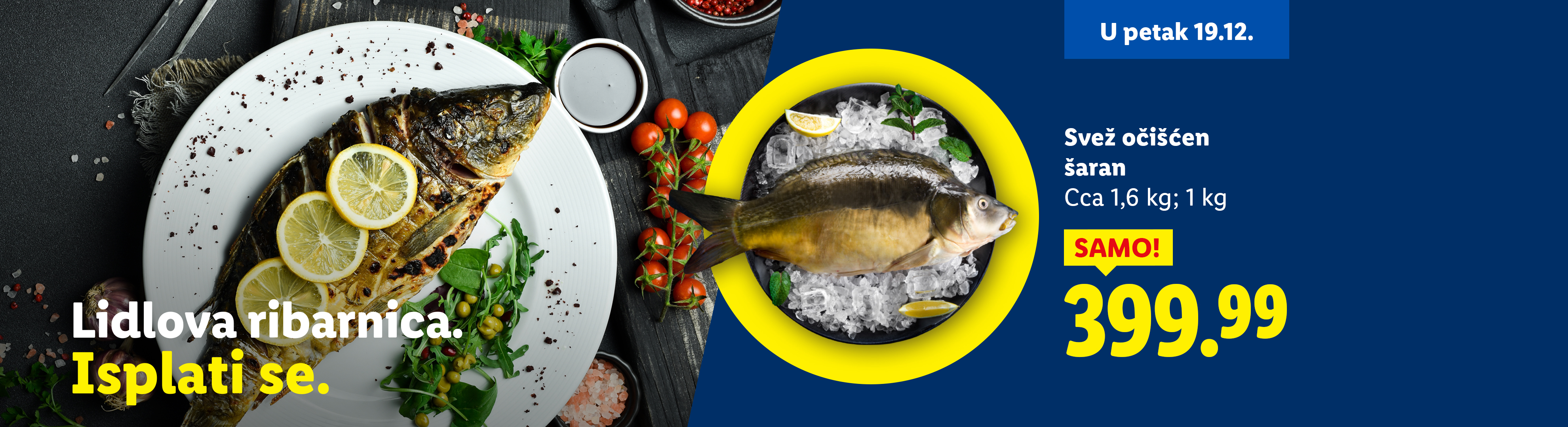 Lidl ribarnica: Svež očišćen šaran, 1,6 kg za 399.99 RSD, u petak 19.12.