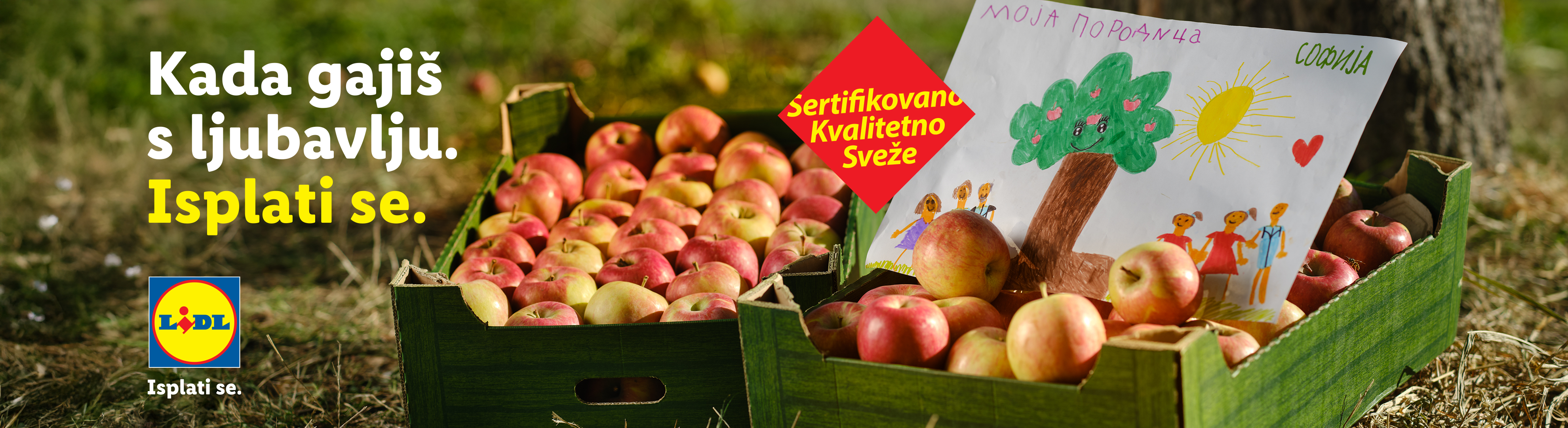 Kutije pune svežih jabuka sa dečijim crtežom i tekstom: „Kada gajiš s ljubavlju. Isplati se.“